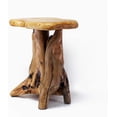 thumbnail image 1 of ZXNYH Tree Stump Side Table, Live Edge Stool, Natural Edge Wood Side Table, Accent Table, 19" Tall, 1 of 7