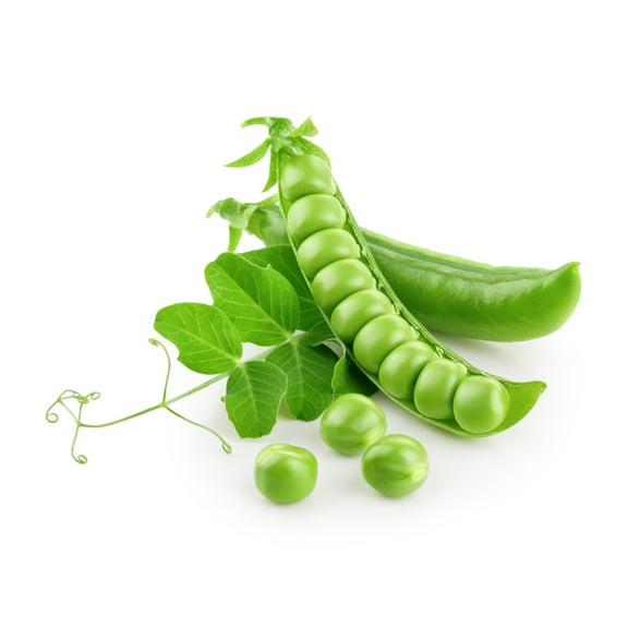 Earthcare Seeds - Pea Alaska Early Spring Bush 100 Seeds (Pisum Sativum) Heirloom - Open Pollinated