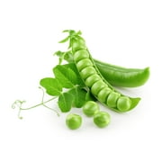 Earthcare Seeds - Pea Alaska Early Spring Bush 100 Seeds Pisum Sativum Heirloom - Open Pollinated
