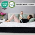 thumbnail image 2 of Mattress Master Queen Size Spring Free Euro Top Foam Mattress, Medium Firm, Bamboo Fabric Cover, CertiPUR-US Certified, One-Sided Support Mattress., 2 of 7