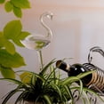 thumbnail image 4 of For Garden Plant Watering Device Indoor Automatic Cute Swan Snail Swan Glass, 4 of 7