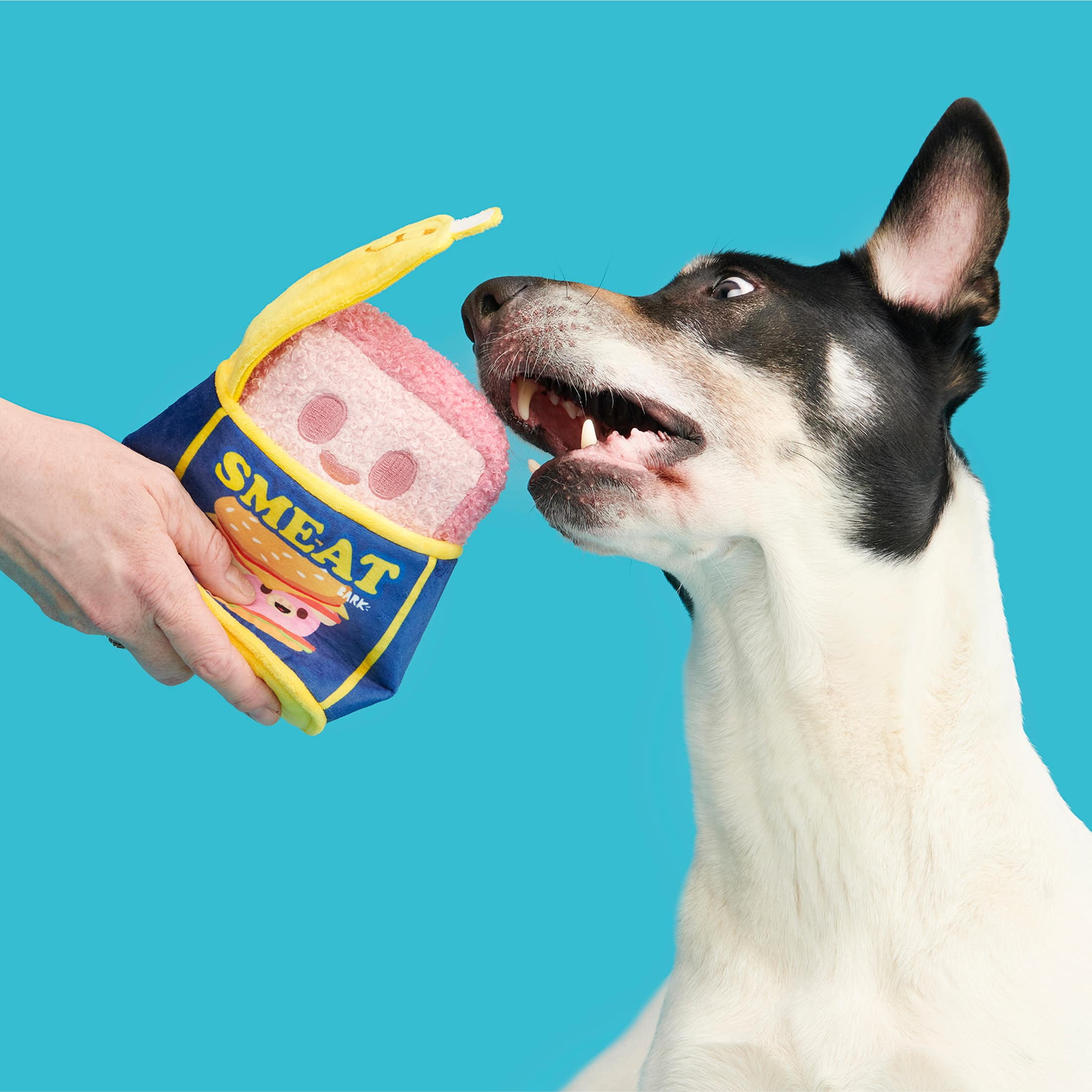 BARK Canned Smeat Canned Ham Meat Plush Pink, Blue, and Yellow Dog Toy, for Extra Small to Small Dogs