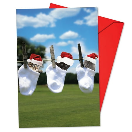 B6474HXSG Box Set of 12 Hang in There This Holiday Christmas Cards w/ Envelopes,