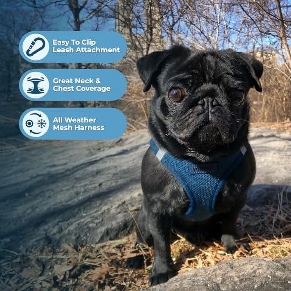 Voyager Step-In Air Dog Harness, Blue XS photo 4