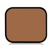 Shiseido Sheer Matifying Foundation Refill (d10 Golden Brown)