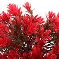 thumbnail image 4 of Árbol pequeño artificial de plástico para decoración de acuarios., 4 of 7
