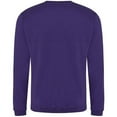 thumbnail image 4 of Pro RTX Mens Pro Sweatshirt, 4 of 4