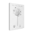 thumbnail image 2 of Trademark Fine Art 'Botany Book VII' Canvas Art by Wild Apple Portfolio, 2 of 3