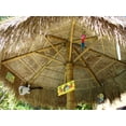 thumbnail image 7 of Backyard X-Scapes Mexican Palm Thatch Umbrella Cover 12ft D, 7 of 7