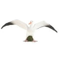thumbnail image 3 of Estatuilla de gaviota jardín de juguete de plástico animal, hogar, decoración de * 6.2 * 6.7cm Hugo Juguete de figura animal, 3 of 10