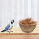 thumbnail image 5 of Nido de pájaro, nido de paja para jardín, jaulas, juguete para cacatúas, juguetes para loros, casa para hámster, cáscara de coco., 5 of 6