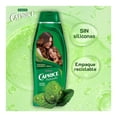 thumbnail image 3 of Shampoo Caprice Naturals Aceite Herbal Fragancia con Ingredientes Naturales 760 ml, 3 of 4