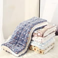 thumbnail image 4 of Redempat Cat Blankets For Plush And Cozy Experience Comfortable And Soft Pet Sleeping Mat bean paste type 1 1Set, 4 of 6