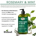 thumbnail image 4 of Difeel Rosemary and Mint Hair Strengthening Shampoo and Conditioner with Biotin 33.8 oz. 2-PC Hair Care Gift Set, 4 of 9