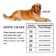 thumbnail image 3 of Fasdecon Collar De Cadena De Oro Para Perros Collar Cubano D, 3 of 6