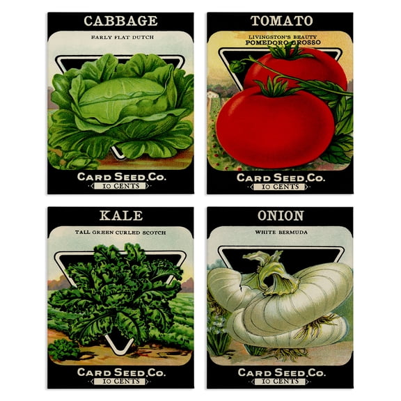 Stupell Industries Vintage Garden Cabbage Food & Beverage Painting Wrapped Canvas Canvas Art Print Wall Art, 14 x 11, Set of 4