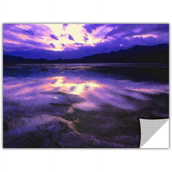 Dean Uhlinger "Death Valley Winter" Removable Wall Art Graphic