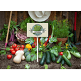 thumbnail image 5 of Eveokoki Farming Vegetable Garden Sign Cucumber 12"x8" Rectangle Aluminum Garden Sign Vegetable Flowers Funny Garden Stakes Tags Decorations, 5 of 5