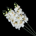 thumbnail image 6 of GETAJGHSD Indoor Decorative Orchid Artificial Orchid Flower Plant White 1Set, 6 of 8