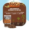 Garden Elements 100 Natural Cocoa Bean Shell Mulch for Gardens, Flower