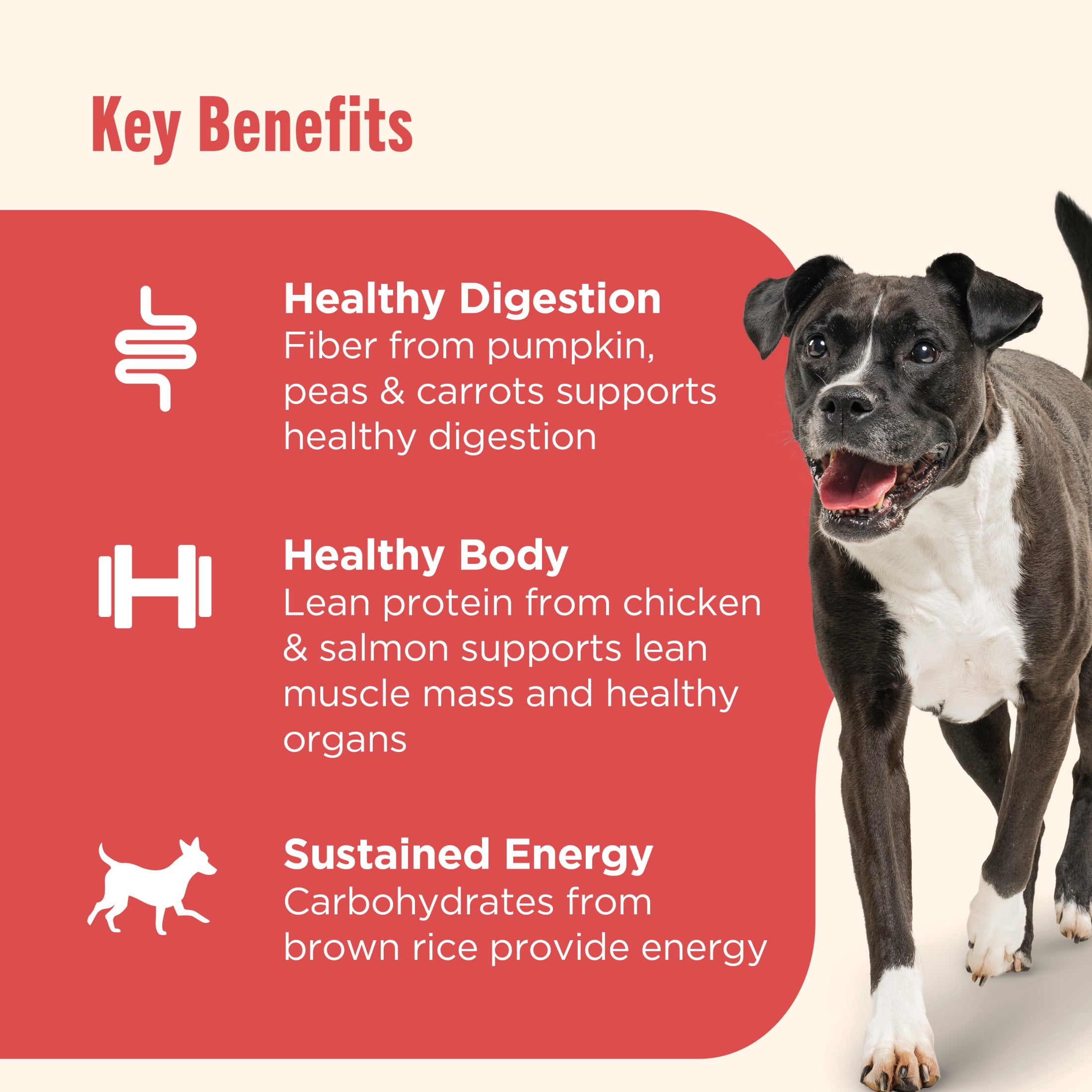 Nutrish Gentle Digestion Real Chicken, Pumpkin & Salmon Recipe Premium Paté Wet Dog Food, 13 oz. Can, 12 Count (Rachael Ray)