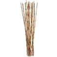 thumbnail image 6 of 41" Tall Stick Bamboo Natural Foliage Sticks Bouquet, by DecMode, 6 of 7