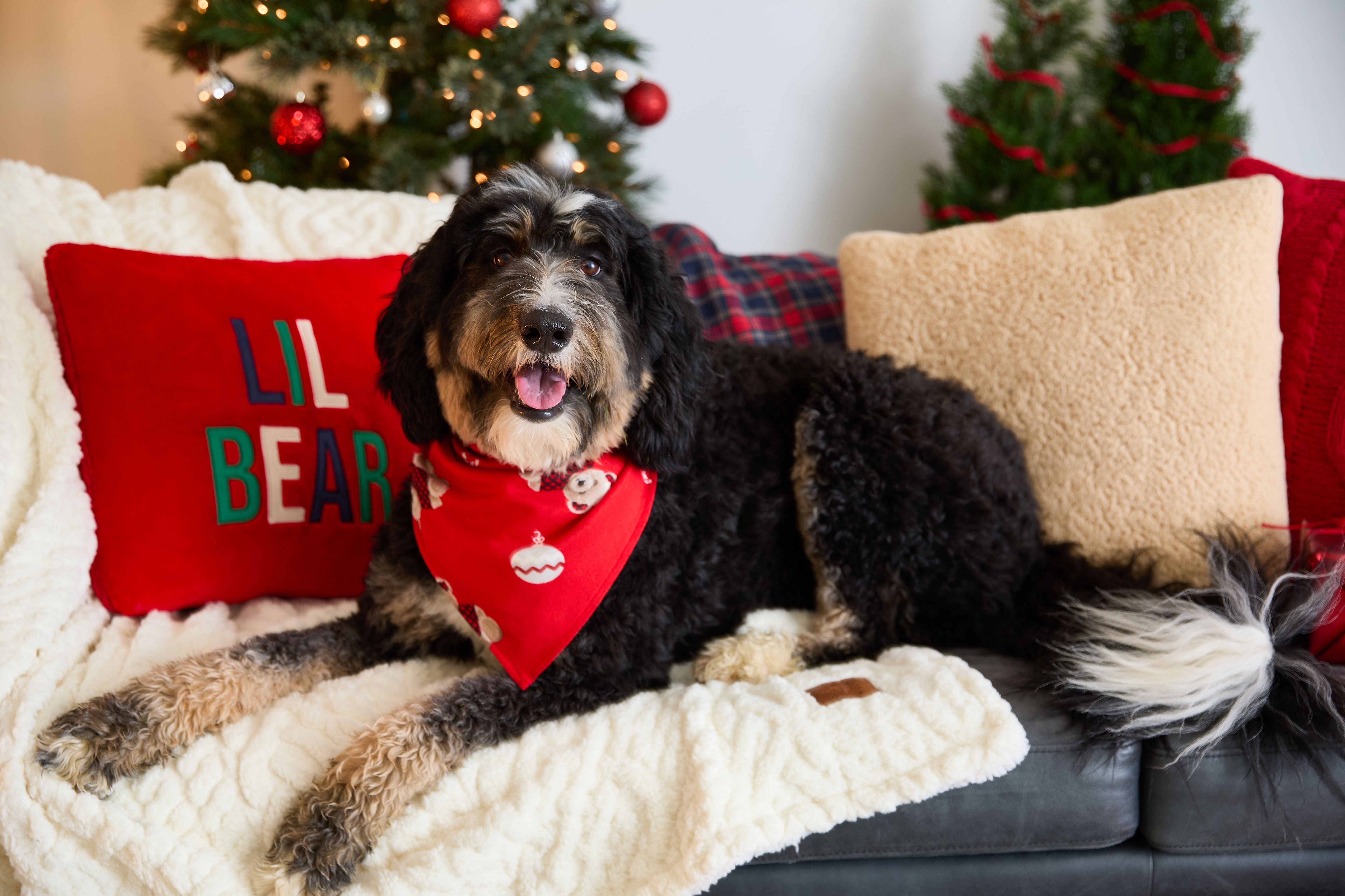 Dearfoams Pet Matching Family Pajamas Holiday Bandana, Sizes XS-2XL