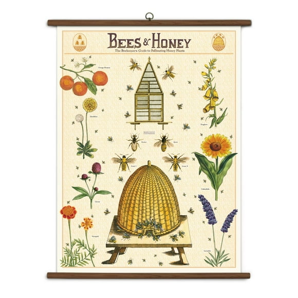 Cavallini Papers & Co., Inc. Bees & Honey Vintage School Chart, Multi