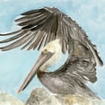 thumbnail image 2 of Stellar Design Studio  12x12 Gold Ornate Wood Framed with Double Matting Museum Art Print Titled - Soft Brown Pelican II, 2 of 4
