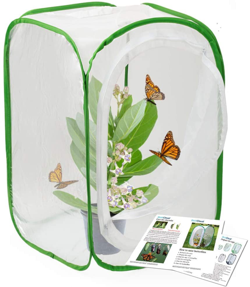 2 Pack Insect and Butterfly Habitat Terrarium Pop-up Monarch Butterfly Cage Insect Growing Kits for Kids