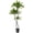 5FT, variant on 5/6ft Artificial Olive Tree, Faux Multi-Ball Topiary Tree in Pot,Simulation Shady Lady Tree for Indoor Modern Home Decor, Maintenance-Free Tall Floor Plant for Living Room, Office, and Corner