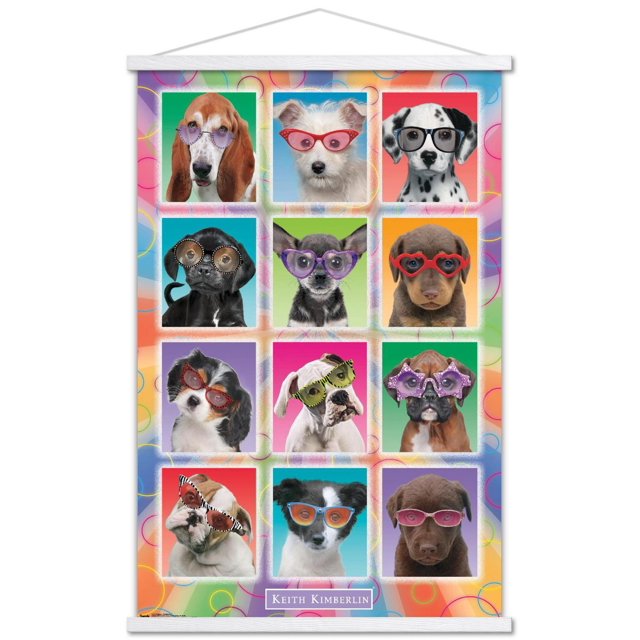 Keith Kimberlin - Chiots - Lunettes de soleil
