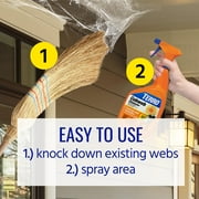 TERRO Spider Cobweb Repellent and Eliminator Spray, 32 Fluid Ounce