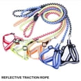 thumbnail image 6 of Reflective Dog Leash, Heavy Duty Woven Rope with Padded Handle, for Large Dogs, 5 Feet Length, 6 of 7