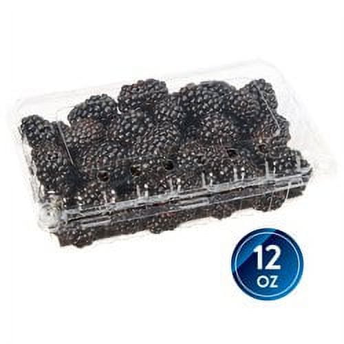 Fresh Blackberries, 12 oz Container