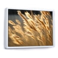 thumbnail image 2 of Designart "Golden Dreams In Tall Grass Meadows" Meadow Floater Framed Canvas Art Print, 2 of 5