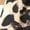 Brown, variant on Toddler Girl Clothes Ruffle Short Sleeve Tops and Leopard Print Shorts Outfits Set Brown 2-3 Years