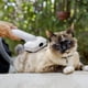 thumbnail image 4 of Kit Aspiradora Cortapelos Mascotas KARCHER OC3 Succión Vacío, 4 of 6