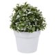 thumbnail image 3 of Simulación de pequeñas plantas en maceta, decoración realista de flores artificiales para el hogar y la oficina., 3 of 5