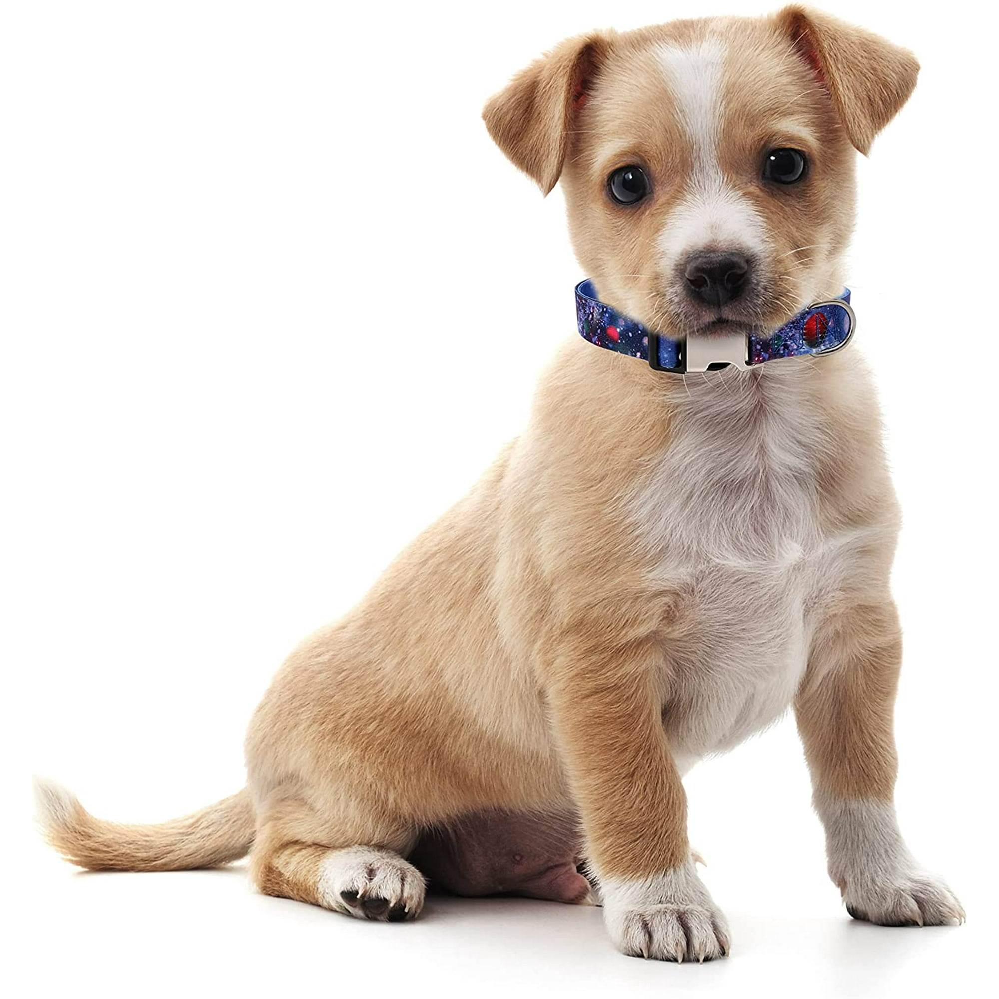 Dog Collars With Stylish Patterns Soft Adjustable Pet Collars For Puppies Small Medium Large Dogs L Size