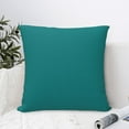 thumbnail image 4 of Pofeuu Teal Print Double-sided plush pillowcase Square Throw Pillow Covers Pillows Cover for Living Room Bedroom Sofa Couch Cushion Cover（No pillow core）-16"x16", 4 of 7