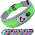 thumbnail image 1 of HAHDAXIA Neoprene Padded Dog Collar for Extra Large Dogs, 11 Colors, Reflective Wide Pet Collars with Durable Metal Belt Buckle, Adjustable Heavy Duty Nylon Dog Collar, Green, 1 of 6