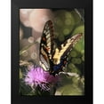 thumbnail image 2 of Mansfield, Kathy 19x24 Black Modern Framed Museum Art Print Titled - Butterfly Bokeh II, 2 of 5