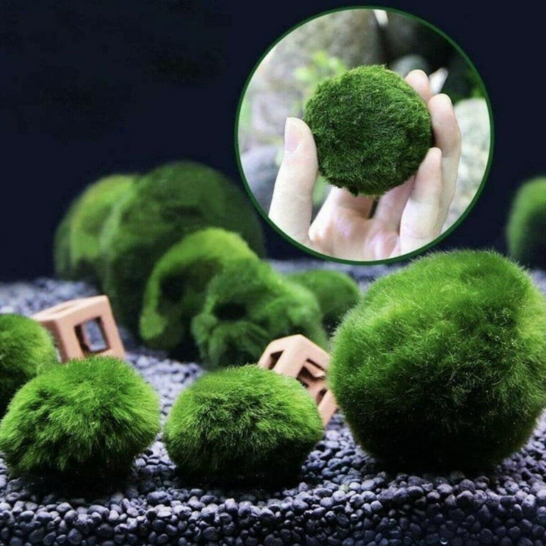 4pcs Aquarium Moss Balls,Live Aquarium Green Moss Decorative Ball for Fish Tank Ornaments Freshwater Terrarium Moss Decoration, Size: 4 cm