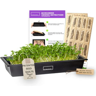 Microgreen Trays  Shop Shallow Trays for Microgreens - Bootstrap Farmer