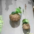 thumbnail image 5 of Eease Hanging Wicker Planter Mini Rattan Basket for Home & Garden, 5 of 5