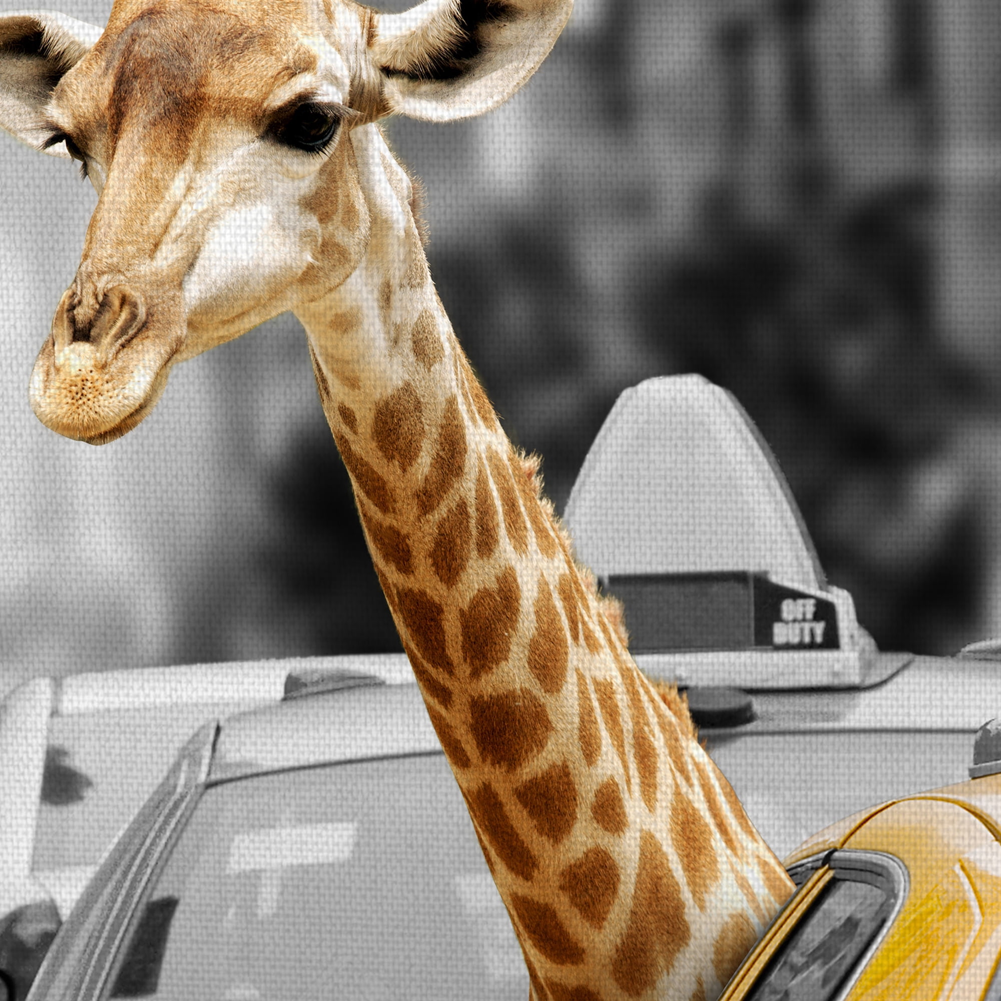 Masterpiece Art Gallery Urban Jungle Giraffe In Taxicab by Belle Maison Canvas Art Print 24" x 36"