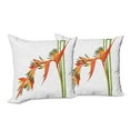 thumbnail image 6 of Ambesonne Floral Throw Pillow Cover 2 Pack, Exotic Flower Branch, 24", Green Orange, 6 of 6
