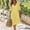 Yellow, variant on FEIIBMOYRIA Women's Maxi Dresses Womens Deep V Neck Cotton‑Linen Casual Long Sleeve Dresses Gathered Elastic Cuff 3/4 Sleeve Loose Daily Holiday Dresses