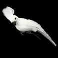 thumbnail image 5 of Ornement de Maison 27.5cm Simulation Mignonne Mousse Simulation Oiseau Décor Simulation Confort Ultime, 5 of 5